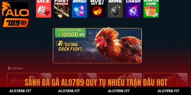 Sảnh đá gà ALO789 quy tụ nhiều trận đấu hot