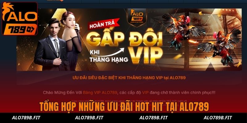 Tổng hợp những ưu đãi hot hit tại ALO789