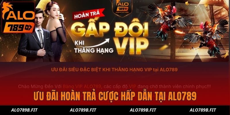 Ưu đãi hoàn trả cược hấp dẫn tại Alo789